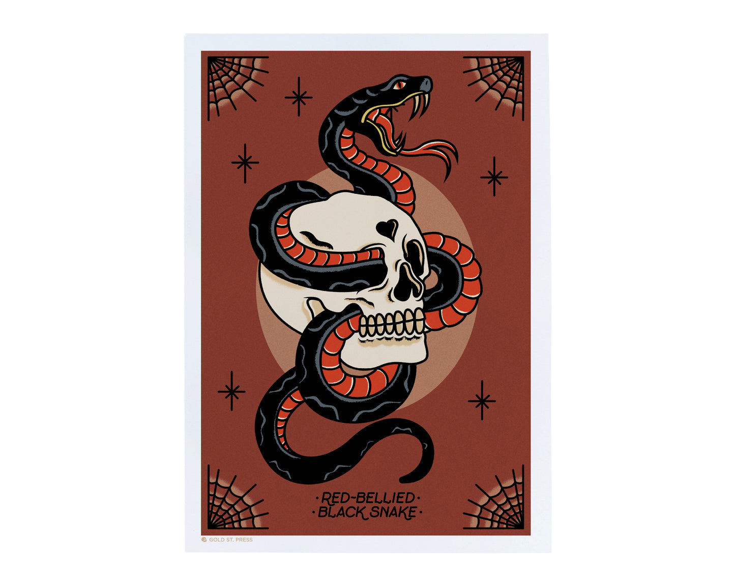 Red-Bellied Black Snake Art Print