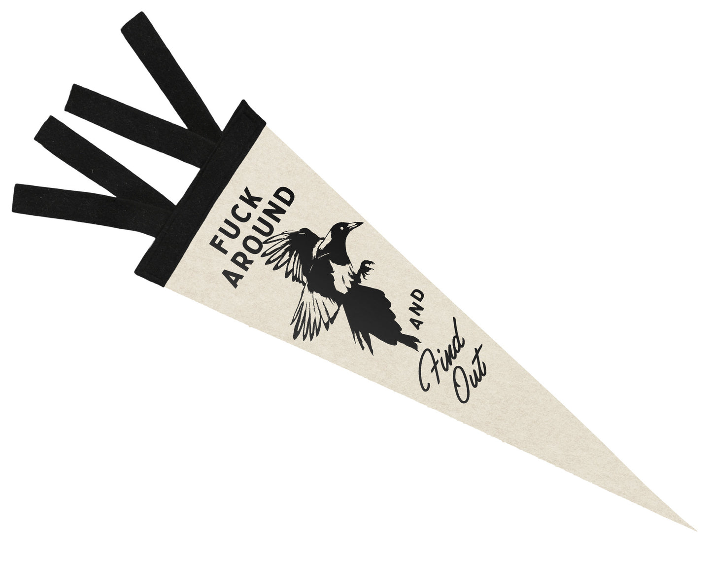 Fuck Around and Find Out Pennant Flag